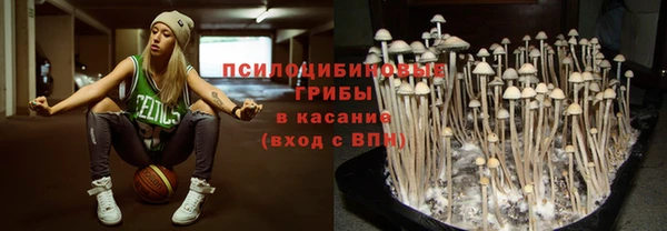 скорость Алексин