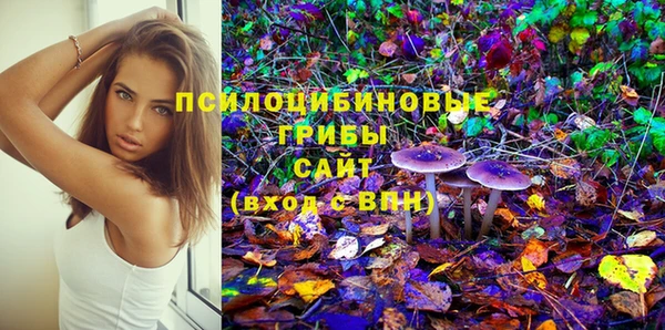 ПСИЛОЦИБИНОВЫЕ ГРИБЫ Алзамай