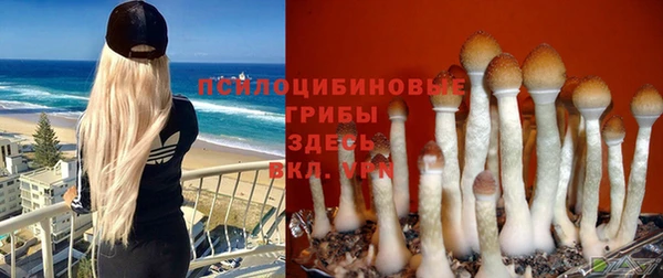 трава Абаза
