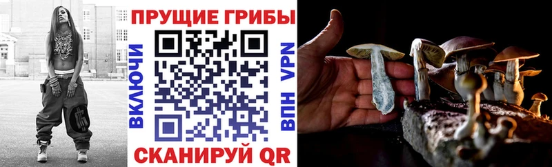 Псилоцибиновые грибы ЛСД Циолковский